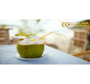 Manfaat Minum Air Kelapa | Sabung Ayam | Sabung Ayam Online