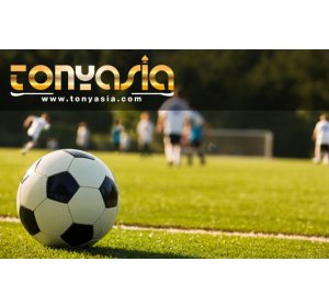 Keuntungan Yang Fantastis Dari Sportbook | agen bola terpercaya | judi bola online