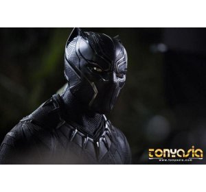 Sedikit Bocoran tentang Film Black Panther | Judi Sabung Ayam | Sabung Ayam