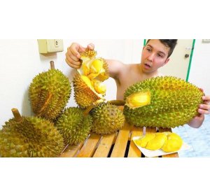 Ini Bahaya Terlalu Banyak Makan Durian | Judi Online Indonesia