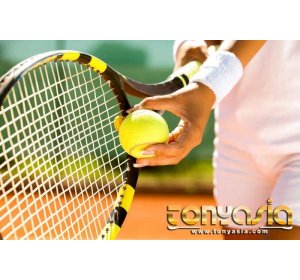 Sebagian Biaya Penyelenggaraan Piala Davis Di Tanggung Oleh Persatuan Tenis Makassar | Slot Games | Judi Game Slot