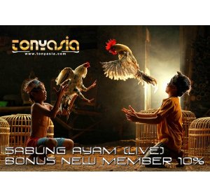 Kamu Pecinta Game Sabung Ayam? Begini Cara Agar Selalu Menang Dalam | Sabung Ayam Online | Bandar Judi Sabung Ayam