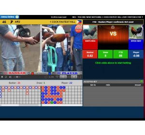 Belajar Bermain Judi Video Sabung Ayam  Melalui Internet | Sabung Ayam Online | Bandar Judi Sabung Ayam